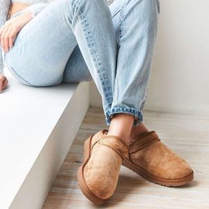 Classic Ugg Chestnut Slippers